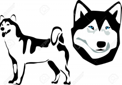 Collection of Malamute clipart | Free download best Malamute ...