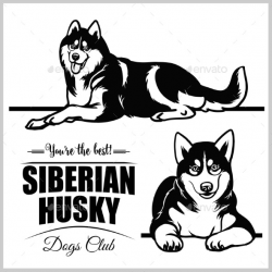Siberian Husky - Vector Set Isolated Illustration