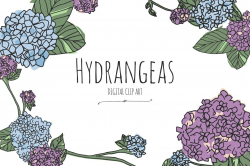 Hydrangeas - Digital Clip Art ~ Illustrations ~ Creative Market