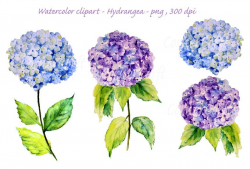 Watercolour blue hydrangea Illustration digital download – Corner Croft