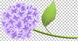 Hydrangea PNG, Clipart, Clipart, Clip Art, Download, Floral ...