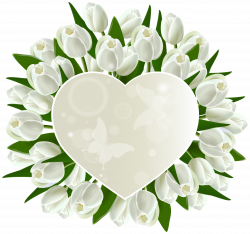 White Tulips Heart Decoration PNG Clipart Image | Gallery ...