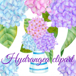 Hydrangea clipart, Watercolor clipart, Hand painted hydrangea clip art,  Flower clipart, Hydrangea watercolor flower, Pink purple hydrangea