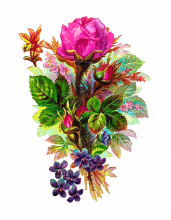 habrumalas: Pink Flower Bouquet Clip Art Images