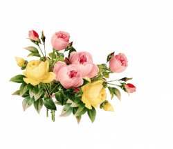 Vintage Floral Clipart. Vintage Floral Vector Bouquet Garden Flower ...