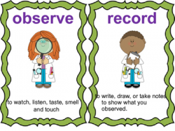 Science Skills Vocabulary Cards
