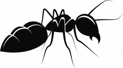 Clipart - Ant