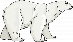 Polar bear free bear clipart - Cliparting.com