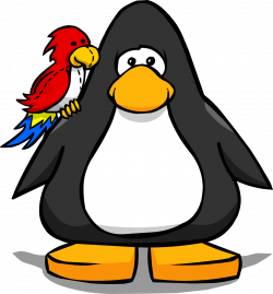 Image - Parrot 1.png | Club Penguin Wiki | FANDOM powered by Wikia