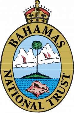 Bahama Blue Holes | IntoThePlanet