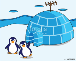 funny baby penguin in front of igloo