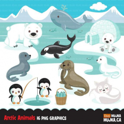 Arctic animals clipart. Cute winter animals, igloo, whale, walrus, penguin,  polar bear, seal pup, orca, fox Baby shower, birthday graphics