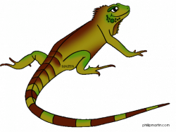 19 Iguana clipart HUGE FREEBIE! Download for PowerPoint ...