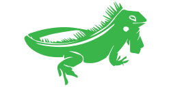 Lizard Chameleons Reptile Green iguana Clip art - Green ...