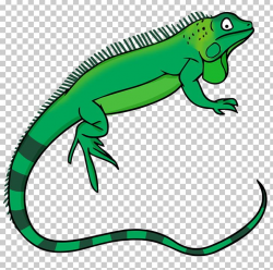 Green Iguana Lizard Free Content PNG, Clipart, Animal ...