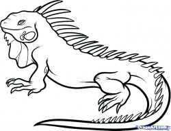 reptile coloring page – thecandlelady.co