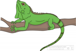 Reptile lizard green iguana clipart » Clipart Portal