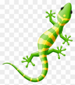 Gecko Clipart Iguana - Cartoon - Png Download - Full Size ...