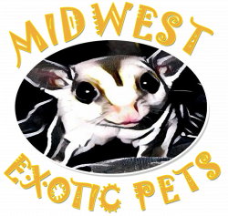Welcome to Midwest Exotic Pets, LLC – Your Friendly Neighborhood Pet ...
