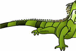 HD Green Iguana Clipart Rainforest Creature - Green Iguana ...