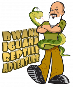 Bwana Iguana Reptile Adventure