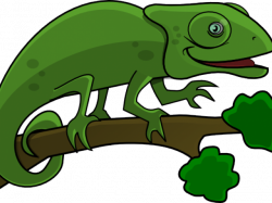 Free Iguana Clipart, Download Free Clip Art on Owips.com