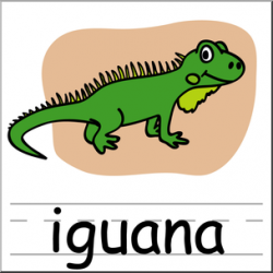 Clip Art: Basic Words: Iguana Color Labeled I abcteach.com ...