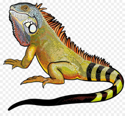 Download Free png Green iguana Lizard Clip art Iguana PNG ...