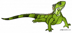Iguana clip art clipart free download - WikiClipArt