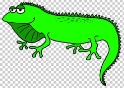 Lizard Green Iguana PNG, Clipart, Amphibian, Animal Figure ...