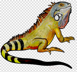 Dragon Background clipart - Lizard, Iguana, Graphics ...