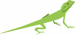 Reptile,Tail,Leaf PNG Clipart - Royalty Free SVG / PNG