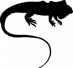 Iguana Silhouette Svg Png Icon Free Download (#74166 ...