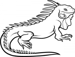 Free Iguana Clipart printable, Download Free Clip Art on ...