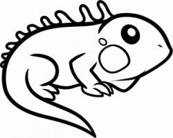 How to draw how to draw an iguana for kids - Hellokids.com