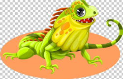 Green Iguana Lizard Reptile PNG, Clipart, Amphibian, Animal ...