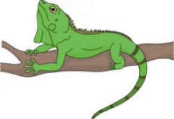 Iguana clipart free download on WebStockReview