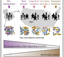 Immigration to the US changes a person's microbiome