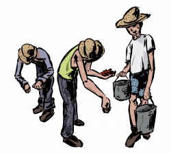 Illustration of migrant workers | Shawn Brook Williams