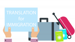 How much do translation services cost?