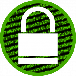 File Encryption: What Is It and Why Is It Important?