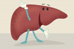 12 Bilious Facts About the Liver | Mental Floss