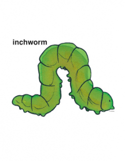 Inchworm | Printable Clip Art and Images