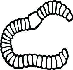 21+ Best Black And White Worm Clipart | Find wonderful clipart and ...