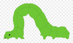 Inchworm Clipart - Png Download (#78806) - PinClipart