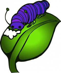 Inchworm Clipart ulat - Free Clipart on Dumielauxepices.net