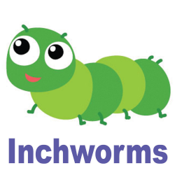 INCHWORMS: June Bugs Session(s) for 2 and 3 year olds — PITTSFORD UNITED  NURSERY SCHOOL (PUNS)