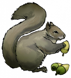 NEW 65+ Squirrel Clipart Images Free Download 【2018】