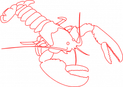 Lobster | Free Stock Photo | Illustration of a red lobster outline ...