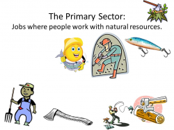 My Sector Collage Mr L 7B February 28th, The Primary Sector ...
